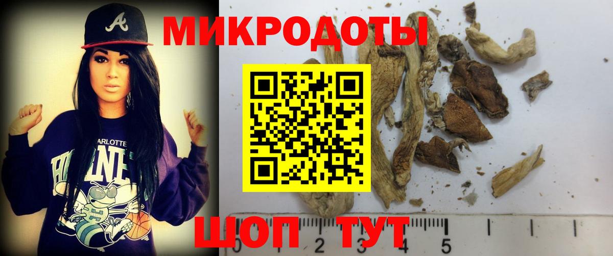 Казань  Галлюциногенные грибы Psilocybe  Вход с VPN  Галлюциногенные грибы ЛСД 