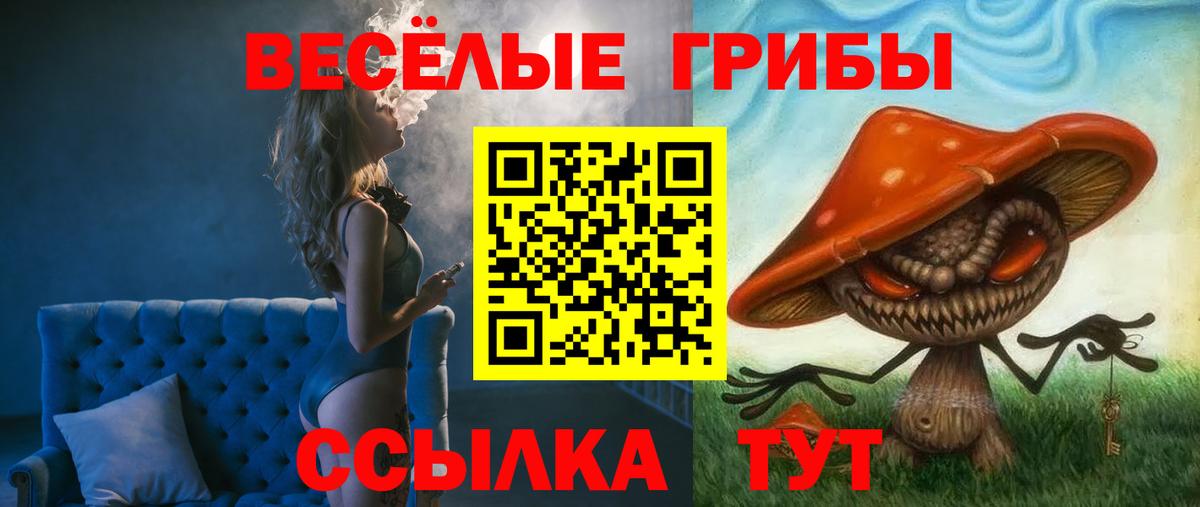 Псилоцибиновые грибы мухоморы Казань